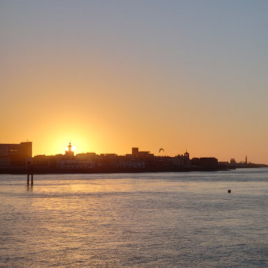 Sunset over a Bay, with vibrant orange and pink hues reflecting on the water and silhouetting the city skyline.